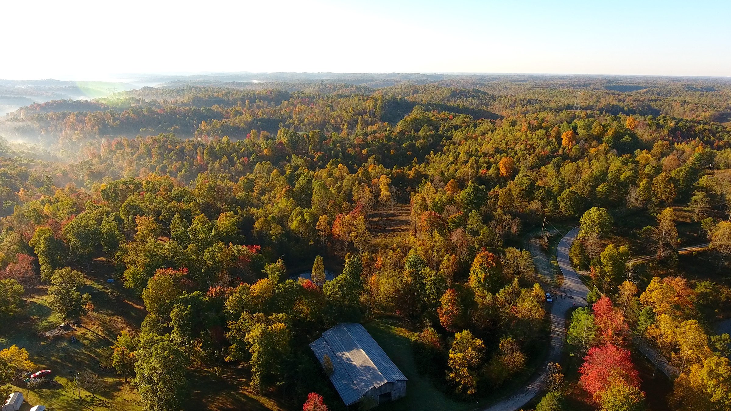 Property photo 22 - LAND AUCTION - 1,682+/- ACRES OFFERED IN 17 TRACTS IN LEWIS & GREENUP COUNTIES, KENTUCKY